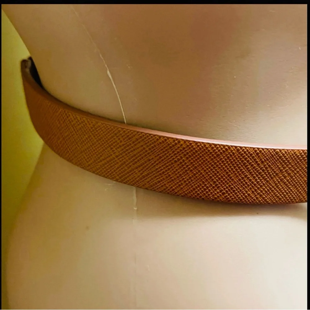 EXPRESS SKINNY BELT GOLD  TURN-LUCK ELASTIC IN THE BACK BROWN M/L TINY SCRATCH
